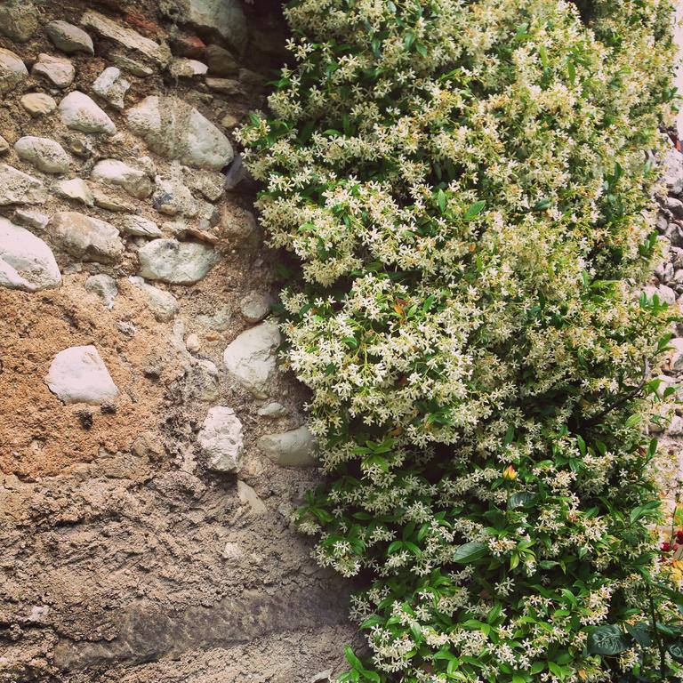 Casa Angela Villa Toscolano Maderno Rom bilde